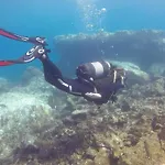 Gemuetliche In Caleta De By Interhome * 파마라